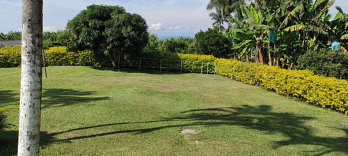 Imagen 19 de 26 de Finca De Alquiler Por Días El Congolo Pereira