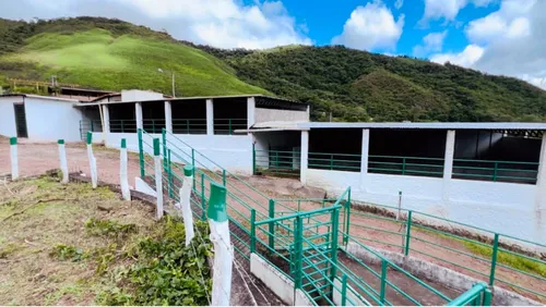 Venta De Finca - Cordero