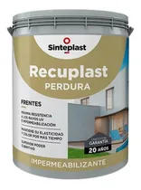 Comprar Recuplast Perdura Frentes Imperm. 4lts-pintu Zero Ramos 