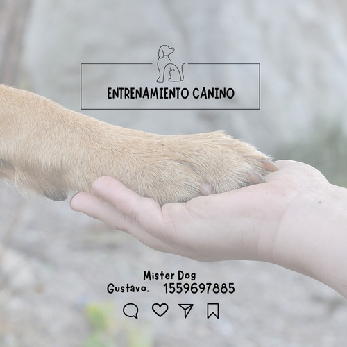 Imagen 2 de 3 de Adiestramiento Canino