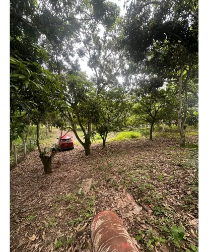 Lote En La Mesa Vereda El Palmar