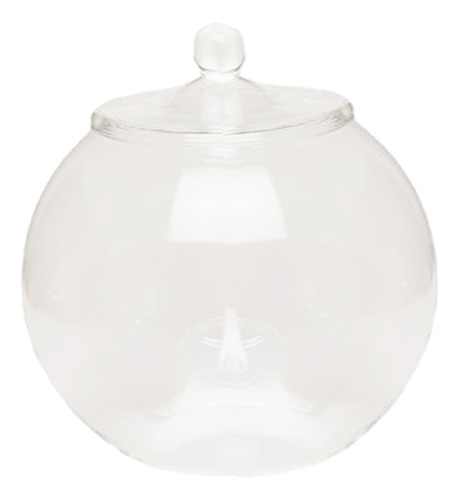 Macetero De Cristal Para Terrario, 7,87 Pulgadas,