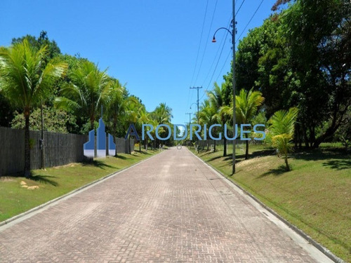 Imagem 16 de 20 de Ótimo Terreno À Venda Localizado Em Trancoso Todo Documentado E Levantamento Topográfico! - Te00126