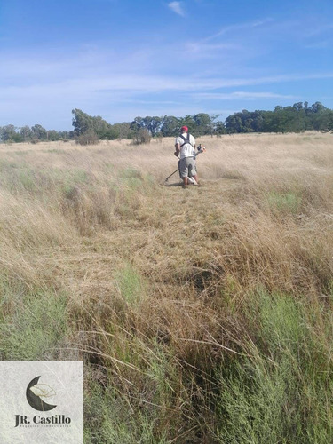 Venta Campo Alejandro Korn