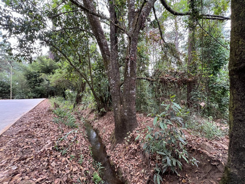 Terreno Rincón Jaímes