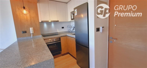 Departamento En Arriendo De 1 Dorm. En Concepción