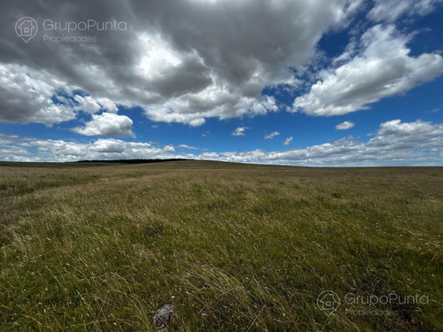 Campo En Venta - Rocha