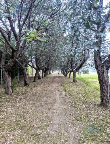 Imagen 8 de 9 de Terreno - Casuarinas Del Pilar