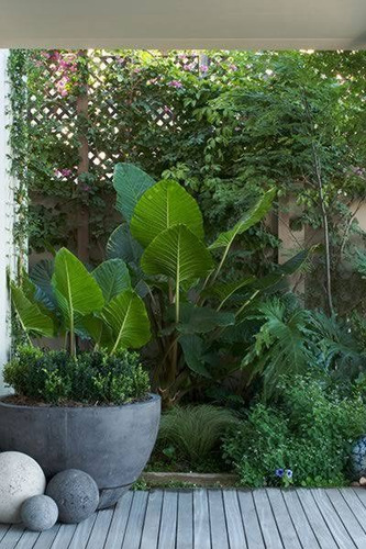 Imagen 7 de 10 de Paisajismo Y Jardinería: Jardines, Terrazas Y Balcones