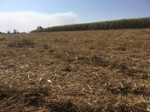 Fazenda Para Venda Em Nuporanga-sp Entre Sales Oliveira, Com 40 Alqueires Sendo 38,5 Alqueires Cana Arrendada A 70 Toneladas, Beira Do Asfalto - Fa00129 - 69331098