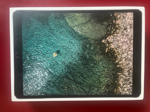 Ipad Pro 10.5 Pulgadas 64 Gb Wifi Gris (Usado)