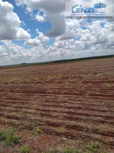 Imagem 9 de 29 de Fazendas À Venda Em Cacu/go - Compre O Seu Fazendas Aqui! - 1479755