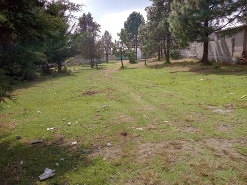 Imagen 5 de 9 de Último Calle Golondrina Tres Marias