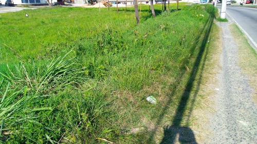 Imagem 6 de 15 de Terreno Para Venda Em Rio De Janeiro, Campo Grande - L180_2-604122