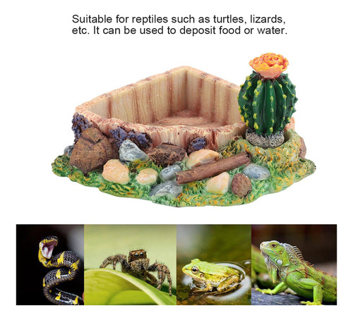 A Comedouro Para Animais De Estimação, Répteis, Tartarugas,