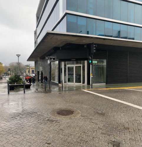 Placa Comercial En Arriendo  220,69m2 Valdivia