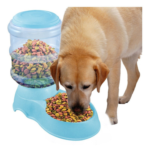 Dispensador Automatico De Alimento Para Mascotas Perro Gato Color Azul Oval