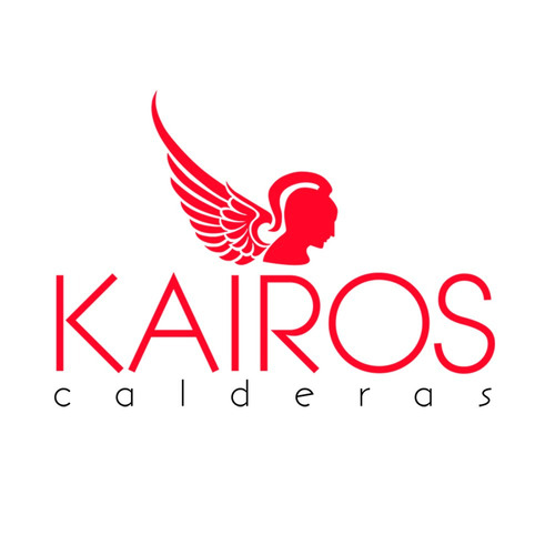 Caldera Ariston Bs Il 24 Ff Doble Servicio Kit Vent S/cargo