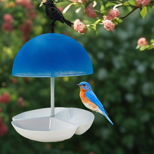 Comedero Colgante Para Pájaros, Ideal Para Exteriores, Para