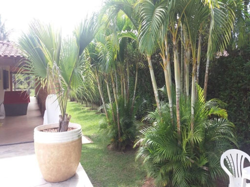 Imagem 13 de 21 de Chácara À Venda, 3750 M² Por R$ 750.000,00 - Aparecidinha - Sorocaba/sp - Ch0015
