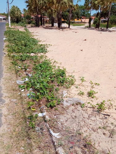 Imagem 1 de 10 de Terreno A Venda Para Construir Sua Casa Na Praia De Luis Correia Pi - Tr19620v_10