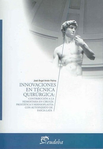 Innovaciones En Técnica Quirúrgica, De Amén Palma, José Ángel. Editorial Eudeba, Edición 2010 En Español