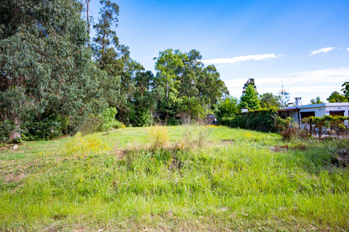 Terrenos Venta Bella Vista