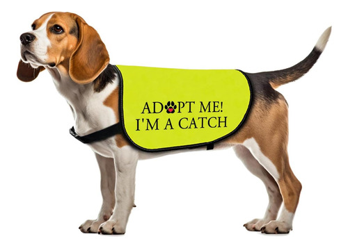 Chaleco De Chaqueta De Adopción De Perros Adoptar Me Soy Un Soy Un Capturado.