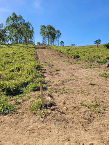 Imagem 23 de 30 de Chácara Em Centro, Martinho Campos/mg De 750m² 1 Quartos À Venda Por R$ 60.000,00 - Ch2330369-s