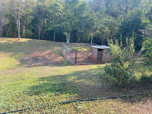 Imagem 22 de 30 de Sítio 20 Alqueires, Casa Sede Com 2 Dormitórios, 1 Suíte Com Banheira, Escritório, Casa De Caseiro, Área De Lazer Completa, Árvores Frutíferas - St00169 - 70653265