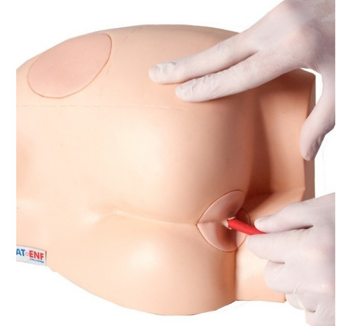 Modelo glúteo: simulador de sonda rectal e inyección intramuscular