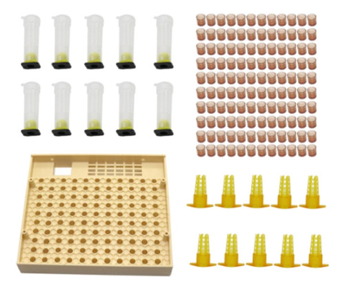 Completo De Sistema De Cría De Abejas Reina Para Vasos De