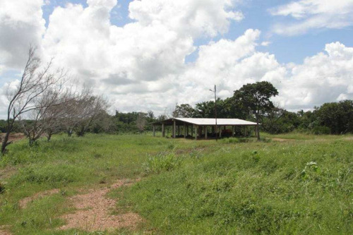 Imagen 24 de 25 de Finca De 400 Has En Sabana Grande De Orituco