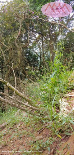Chácara Para Venda Em Ribeirão Pires, Pilar Velho - 000333333_2-1163332