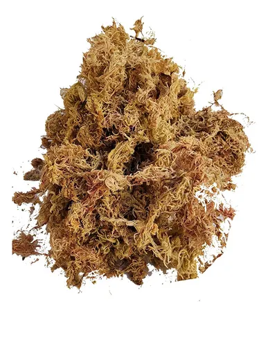 comprar Musgo Esfagno 3 L Substrato Organico Orquideas Carnivoras