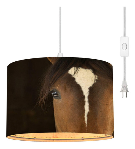 Lampara Colgante Enchufe Cabeza Caballo Cable Transparente