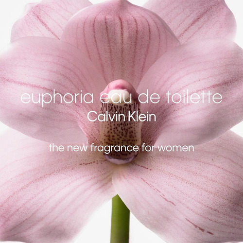 Calvin Klein Euphoria Perfume Feminino Edt 100ml