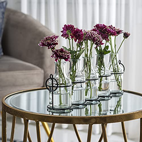 Jarrón De Flores De Vidrio 5pc Con Soporte De Metal, Los Mej
