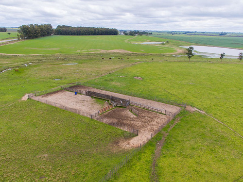 Campo En Venta En Florida Ref. 4408 (ref: Cbr-669)