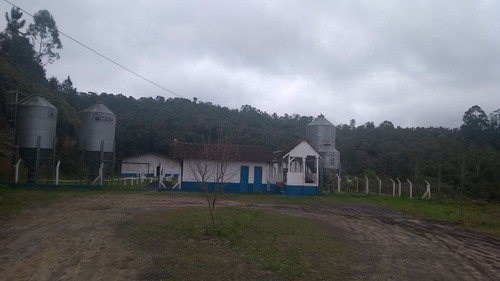 Imagem 2 de 14 de Granja Upd Matrizes Suínas, Em Integração Vertical