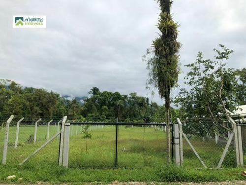 Imagem 9 de 9 de Terreno À Venda No Bairro Porto De Cima - Morretes/pr - 267