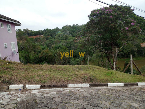 Imagem 3 de 3 de Terreno - Varradouro - Te-4149