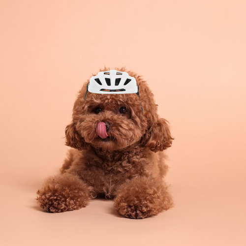 Casco De Seguridad Ajustable Para Mascotas Para Perros Peque