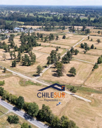 Parcelas En Pichil, Comuna De Osorno