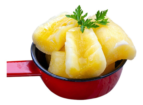 Kit 25 Ramas Muda De Mandioca Amarela Macia 100% Satisfação