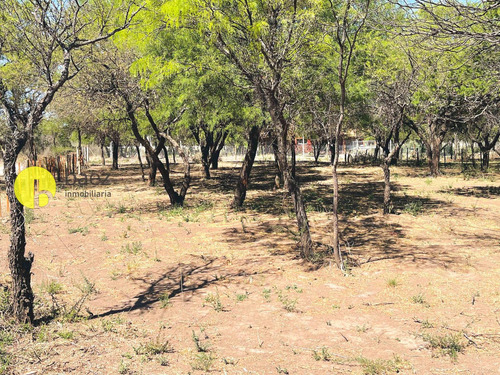 Lote Limpio Y Alambrado