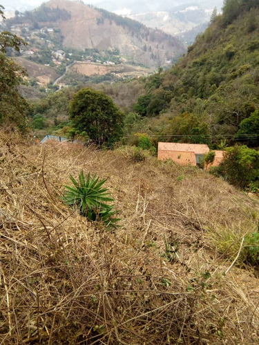 Imagen 3 de 14 de En Venta Terreno De 750m2 Urb La Peña El Faro San Antonio