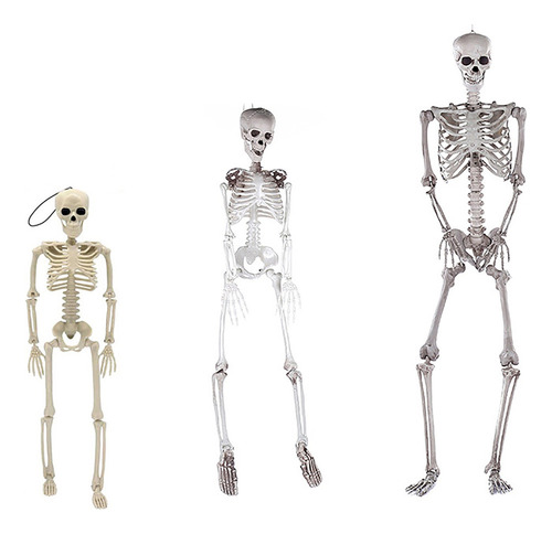 Esqueletos Para Fiestas De Halloween, Articulaciones Posable