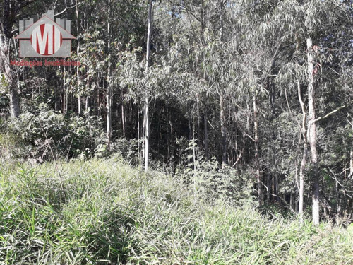 Chácara Simples Com 02 Dormitórios À Venda, 16000 M² Por R$ 230.000 - Zona Rural - Socorro/sp - Ch0493