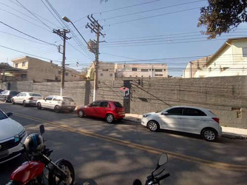 Imagem 3 de 3 de Terreno Jordanópolis, São Bernardo Do Campo - 100656